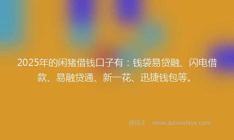 2025年的闲猪借钱口子有：钱袋易贷融、闪电借款、易融贷通、新一花、迅捷钱包等。