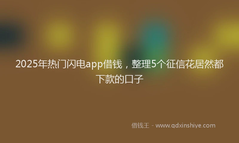 2025年热门闪电app借钱，整理5个征信花居然都下款的口子