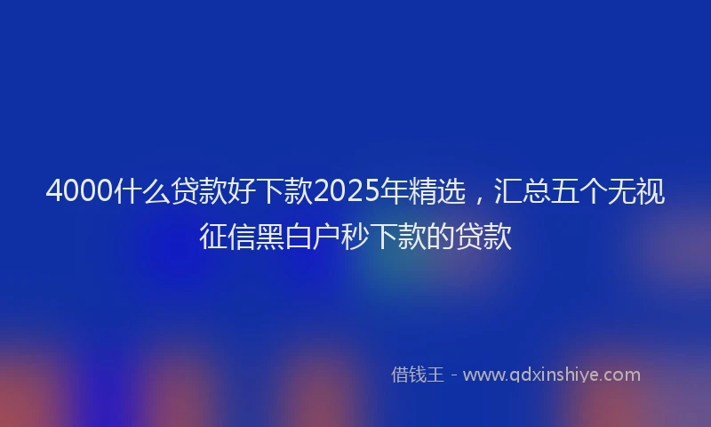 4000什么贷款好下款2025年精选，汇总五个无视征信黑白户秒下款的贷款