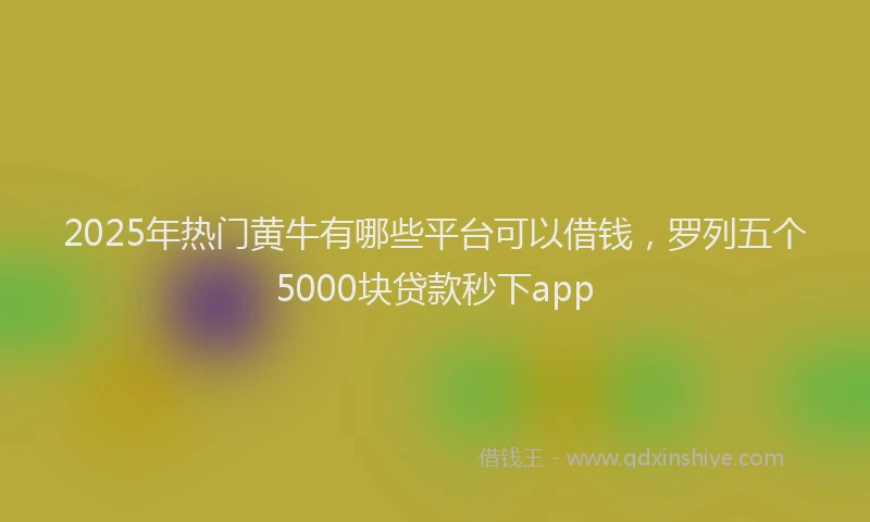 2025年热门黄牛有哪些平台可以借钱，罗列五个5000块贷款秒下app