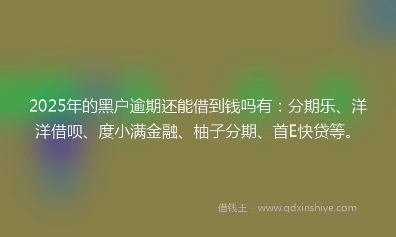 2025年的黑户逾期还能借到钱吗有：分期乐、洋洋借呗、度小满金融、柚子分期、首E快贷等。