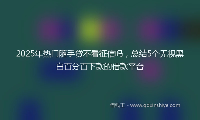 2025年热门随手贷不看征信吗，总结5个无视黑白百分百下款的借款平台