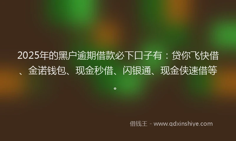 2025年的黑户逾期借款必下口子有：贷你飞快借、金诺钱包、现金秒借、闪银通、现金侠速借等。
