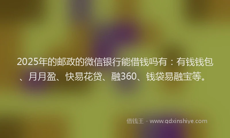 2025年的邮政的微信银行能借钱吗有：有钱钱包、月月盈、快易花贷、融360、钱袋易融宝等。