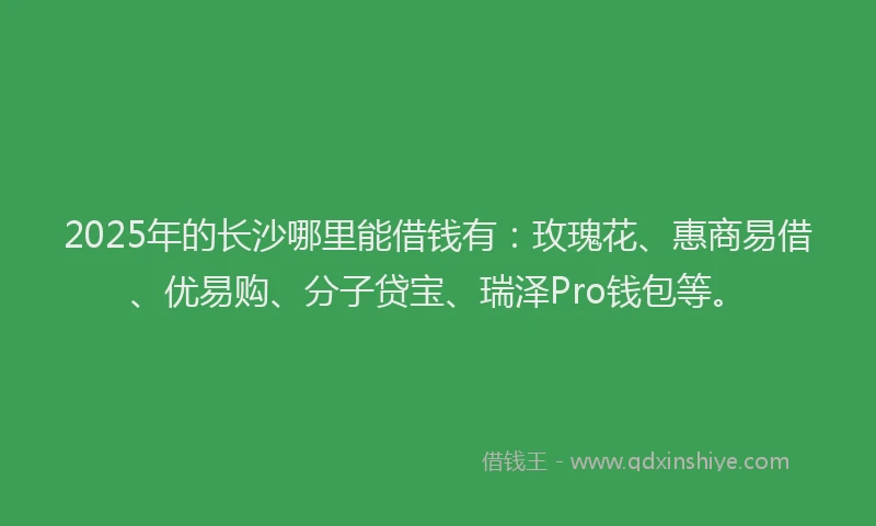 2025年的长沙哪里能借钱有：玫瑰花、惠商易借、优易购、分子贷宝、瑞泽Pro钱包等。