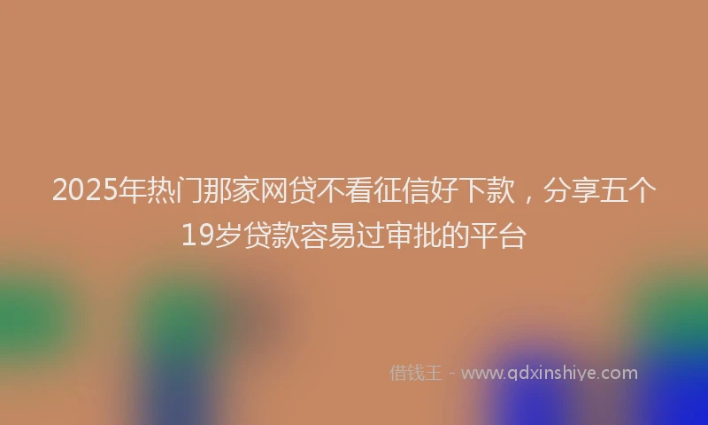 2025年热门那家网贷不看征信好下款，分享五个19岁贷款容易过审批的平台