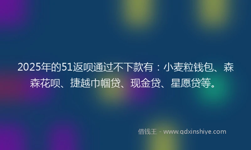 2025年的51返呗通过不下款有：小麦粒钱包、森森花呗、捷越巾帼贷、现金贷、星愿贷等。
