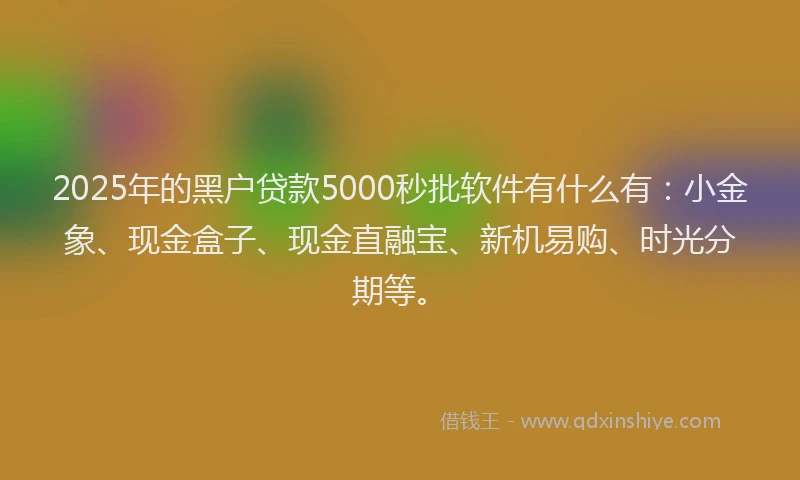 2025年的黑户贷款5000秒批软件有什么有：小金象、现金盒子、现金直融宝、新机易购、时光分期等。