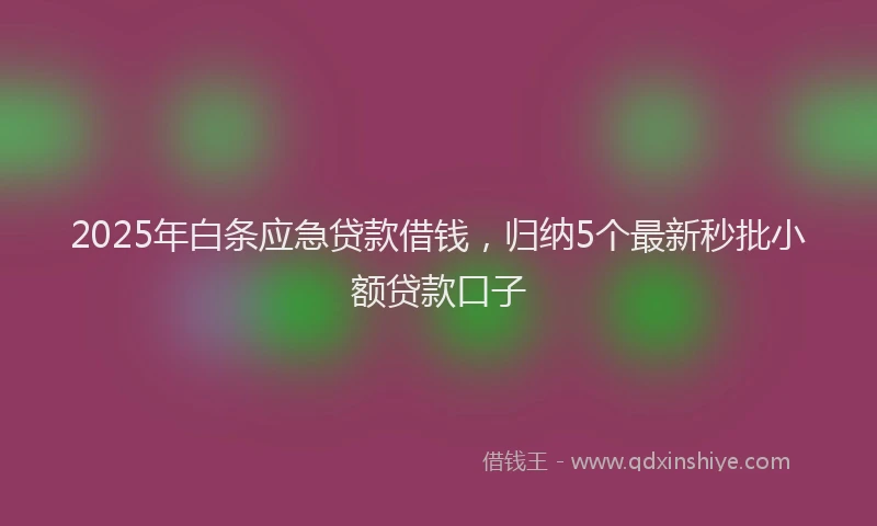 2025年白条应急贷款借钱，归纳5个最新秒批小额贷款口子