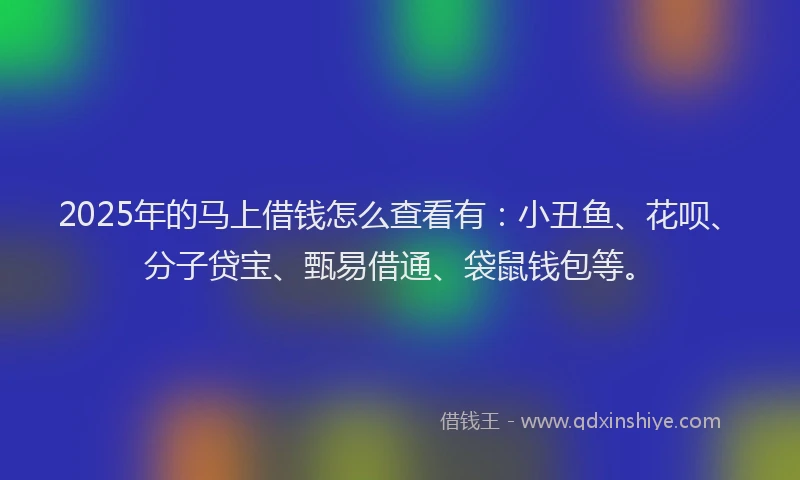 2025年的马上借钱怎么查看有：小丑鱼、花呗、分子贷宝、甄易借通、袋鼠钱包等。