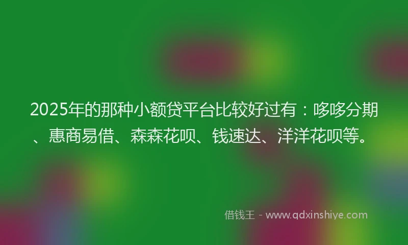 2025年的那种小额贷平台比较好过有：哆哆分期、惠商易借、森森花呗、钱速达、洋洋花呗等。
