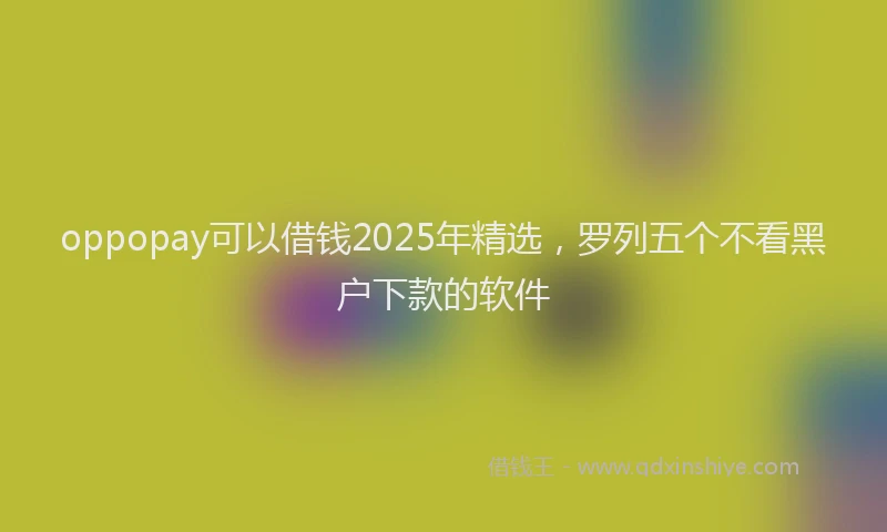 oppopay可以借钱2025年精选,罗列五个不看黑户下款的软件