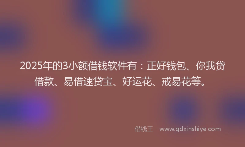 2025年的3小额借钱软件有：正好钱包、你我贷借款、易借速贷宝、好运花、戒易花等。