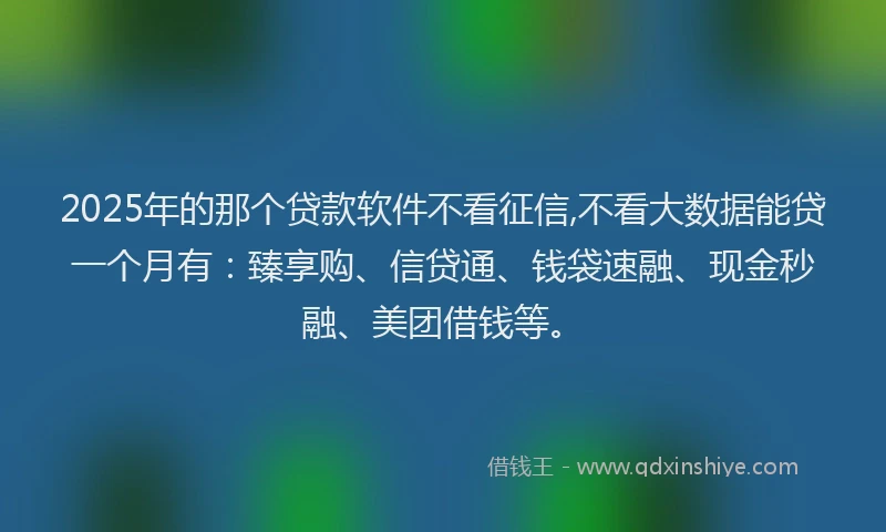 2025年的那个贷款软件不看征信,不看大数据能贷一个月有：臻享购、信贷通、钱袋速融、现金秒融、美团借钱等。