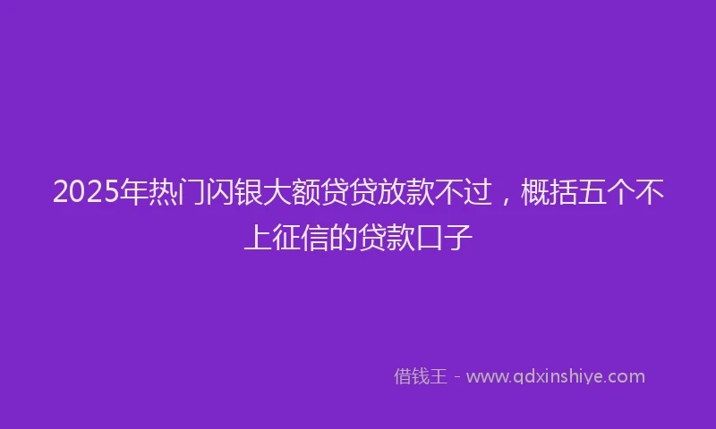 2025年热门闪银大额贷贷放款不过，概括五个不上征信的贷款口子