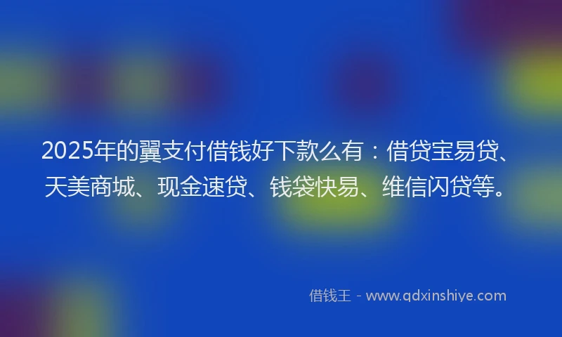 2025年的翼支付借钱好下款么有：借贷宝易贷、天美商城、现金速贷、钱袋快易、维信闪贷等。