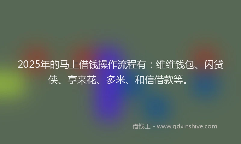 2025年的马上借钱操作流程有:维维钱包、闪贷侠、享来花、多米、和信借款等。