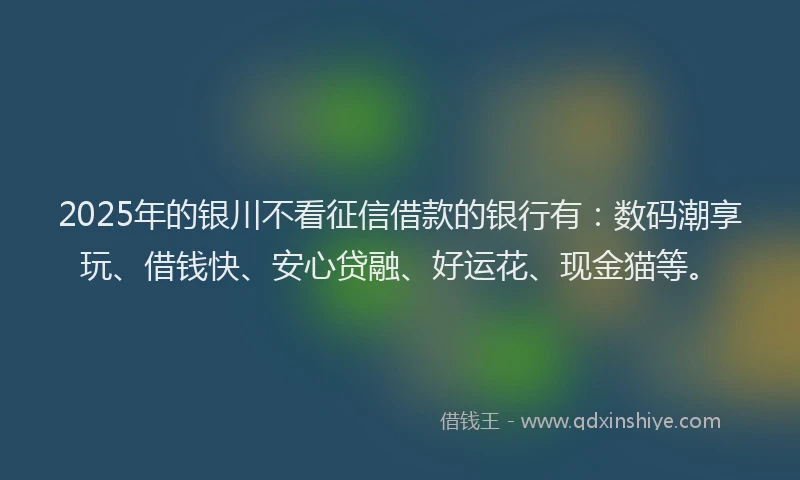 2025年的银川不看征信借款的银行有：数码潮享玩、借钱快、安心贷融、好运花、现金猫等。