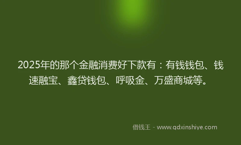 2025年的那个金融消费好下款有：有钱钱包、钱速融宝、鑫贷钱包、呼吸金、万盛商城等。