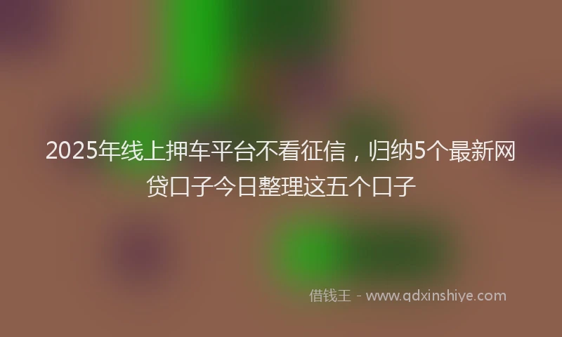 2025年线上押车平台不看征信，归纳5个最新网贷口子今日整理这五个口子