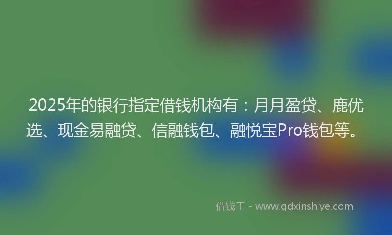 2025年的银行指定借钱机构有：月月盈贷、鹿优选、现金易融贷、信融钱包、融悦宝Pro钱包等。