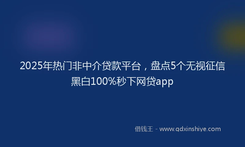 2025年热门非中介贷款平台，盘点5个无视征信黑白100%秒下网贷app