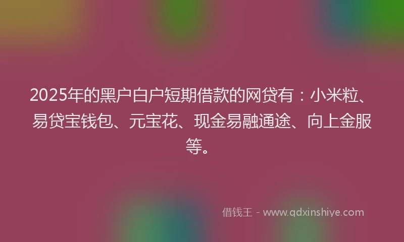 2025年的黑户白户短期借款的网贷有：小米粒、易贷宝钱包、元宝花、现金易融通途、向上金服等。