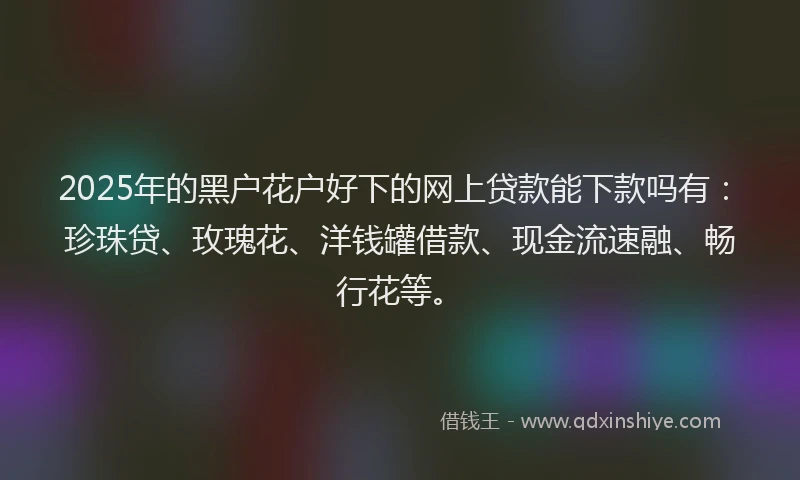 2025年的黑户花户好下的网上贷款能下款吗有：珍珠贷、玫瑰花、洋钱罐借款、现金流速融、畅行花等。