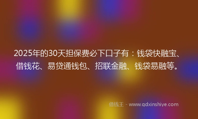 2025年的30天担保费必下口子有：钱袋快融宝、借钱花、易贷通钱包、招联金融、钱袋易融等。