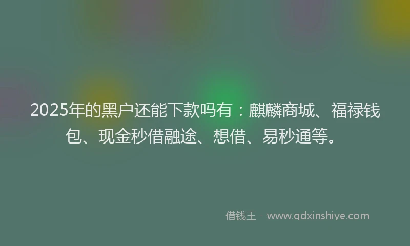 2025年的黑户还能下款吗有：麒麟商城、福禄钱包、现金秒借融途、想借、易秒通等。