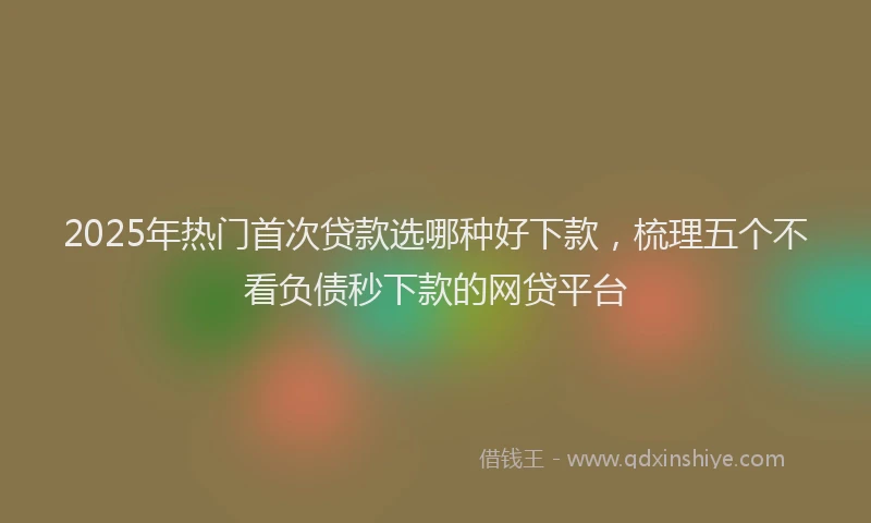 2025年热门首次贷款选哪种好下款,梳理五个不看负债秒下款的网贷平台