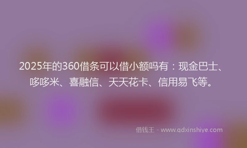2025年的360借条可以借小额吗有：现金巴士、哆哆米、喜融信、天天花卡、信用易飞等。