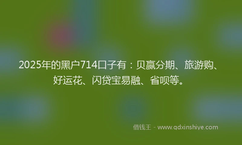 2025年的黑户714口子有：贝赢分期、旅游购、好运花、闪贷宝易融、省呗等。
