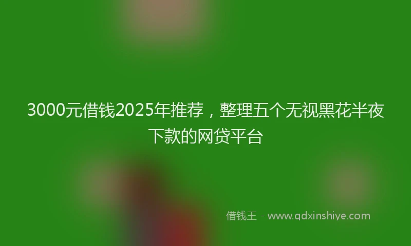 3000元借钱2025年推荐，整理五个无视黑花半夜下款的网贷平台