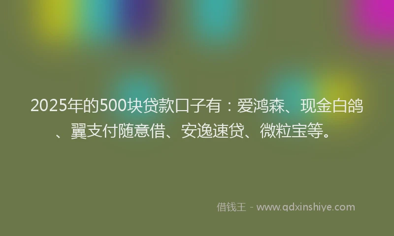 2025年的500块贷款口子有：爱鸿森、现金白鸽、翼支付随意借、安逸速贷、微粒宝等。