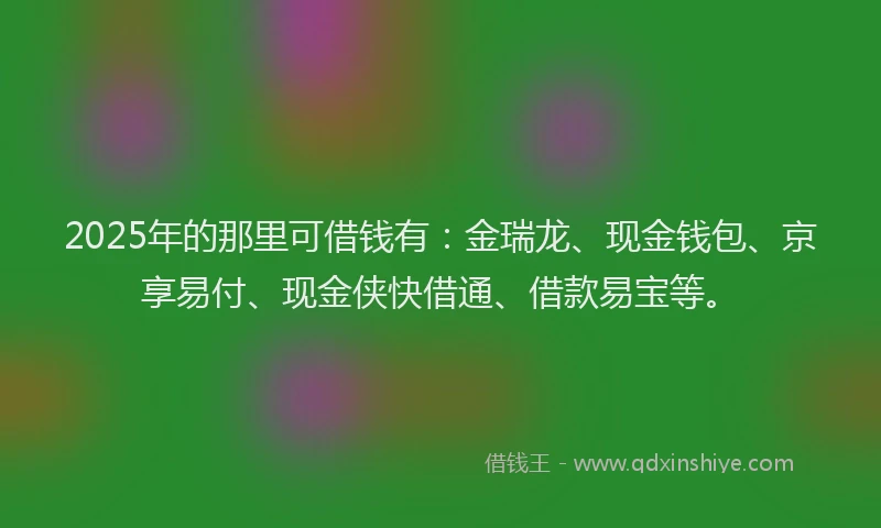 2025年的那里可借钱有：金瑞龙、现金钱包、京享易付、现金侠快借通、借款易宝等。