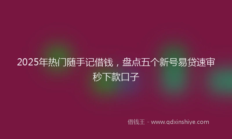 2025年热门随手记借钱,盘点五个新号易贷速审秒下款口子