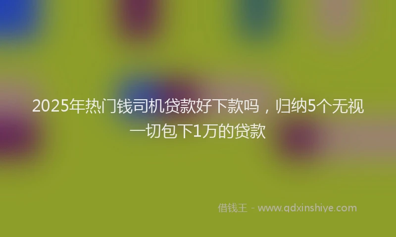 2025年热门钱司机贷款好下款吗，归纳5个无视一切包下1万的贷款