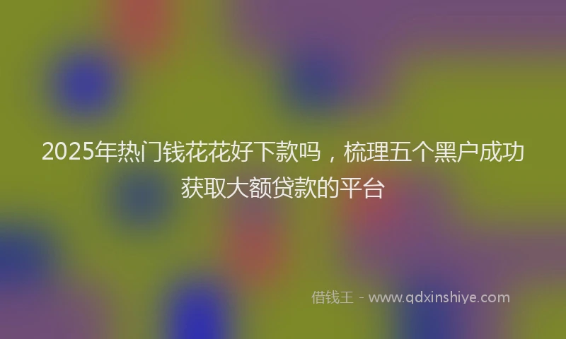 2025年热门钱花花好下款吗，梳理五个黑户成功获取大额贷款的平台