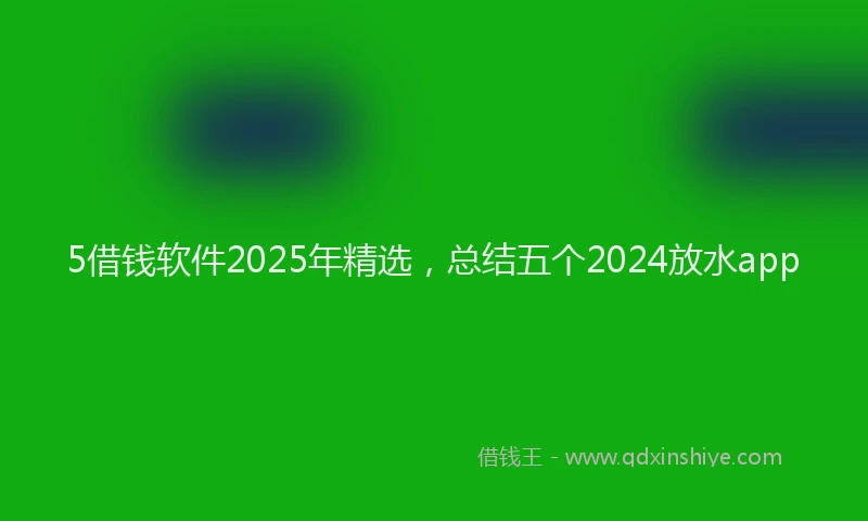 5借钱软件2025年精选，总结五个2024放水app