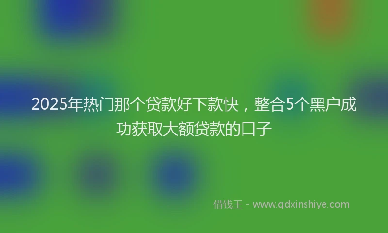 2025年热门那个贷款好下款快，整合5个黑户成功获取大额贷款的口子