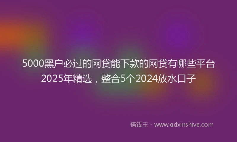 5000黑户必过的网贷能下款的网贷有哪些平台2025年精选，整合5个2024放水口子
