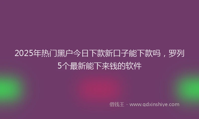 2025年热门黑户今日下款新口子能下款吗，罗列5个最新能下来钱的软件