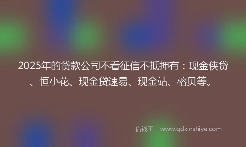 2025年的贷款公司不看征信不抵押有：现金侠贷、恒小花、现金贷速易、现金站、榕贝等。