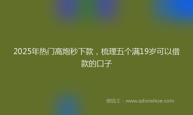 2025年热门高炮秒下款，梳理五个满19岁可以借款的口子