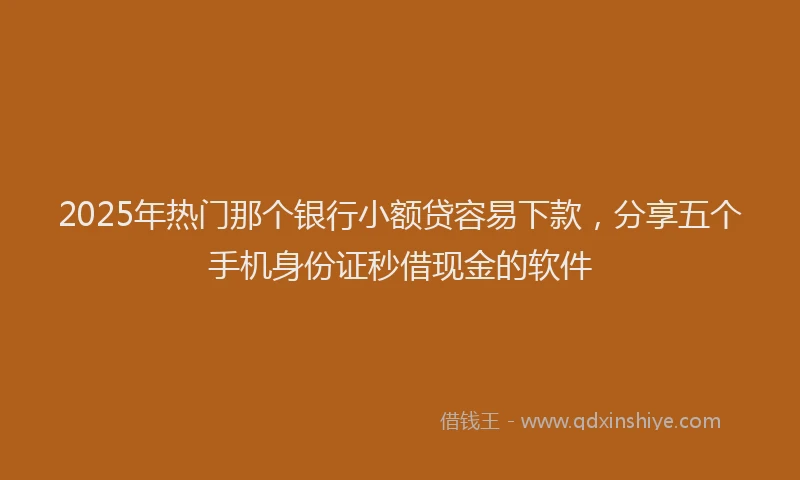 2025年热门那个银行小额贷容易下款，分享五个手机身份证秒借现金的软件