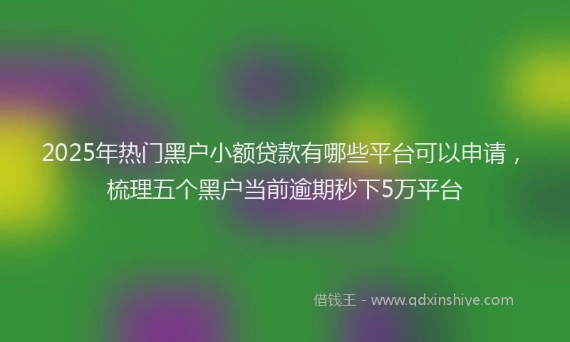 2025年热门黑户小额贷款有哪些平台可以申请，梳理五个黑户当前逾期秒下5万平台