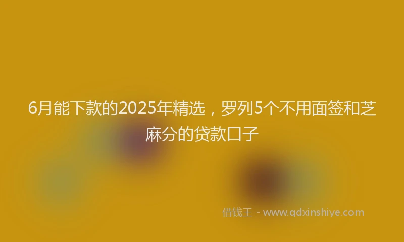 6月能下款的2025年精选，罗列5个不用面签和芝麻分的贷款口子