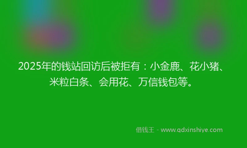 2025年的钱站回访后被拒有：小金鹿、花小猪、米粒白条、会用花、万信钱包等。