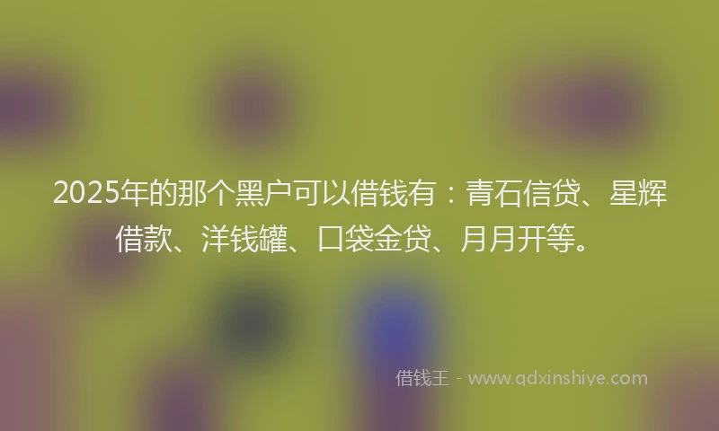 2025年的那个黑户可以借钱有：青石信贷、星辉借款、洋钱罐、口袋金贷、月月开等。
